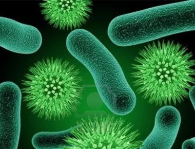 Ποιες είναι οι εστίες μικροβίων που πρέπει να αποφεύγουμε;